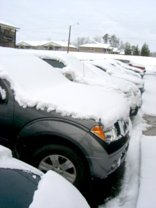 An overnight snow storm left student's cars covered in around four inches of snow and ice.